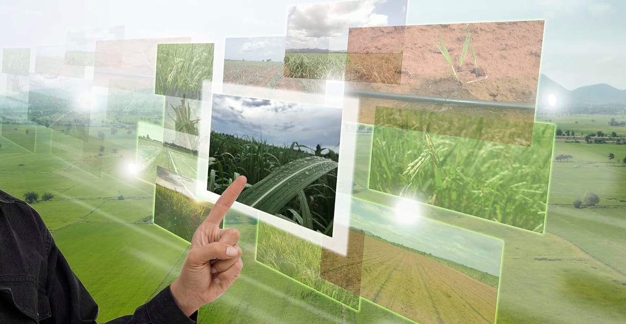 Evitando Armadilhas: Erros Comuns na Jornada Agrotech
