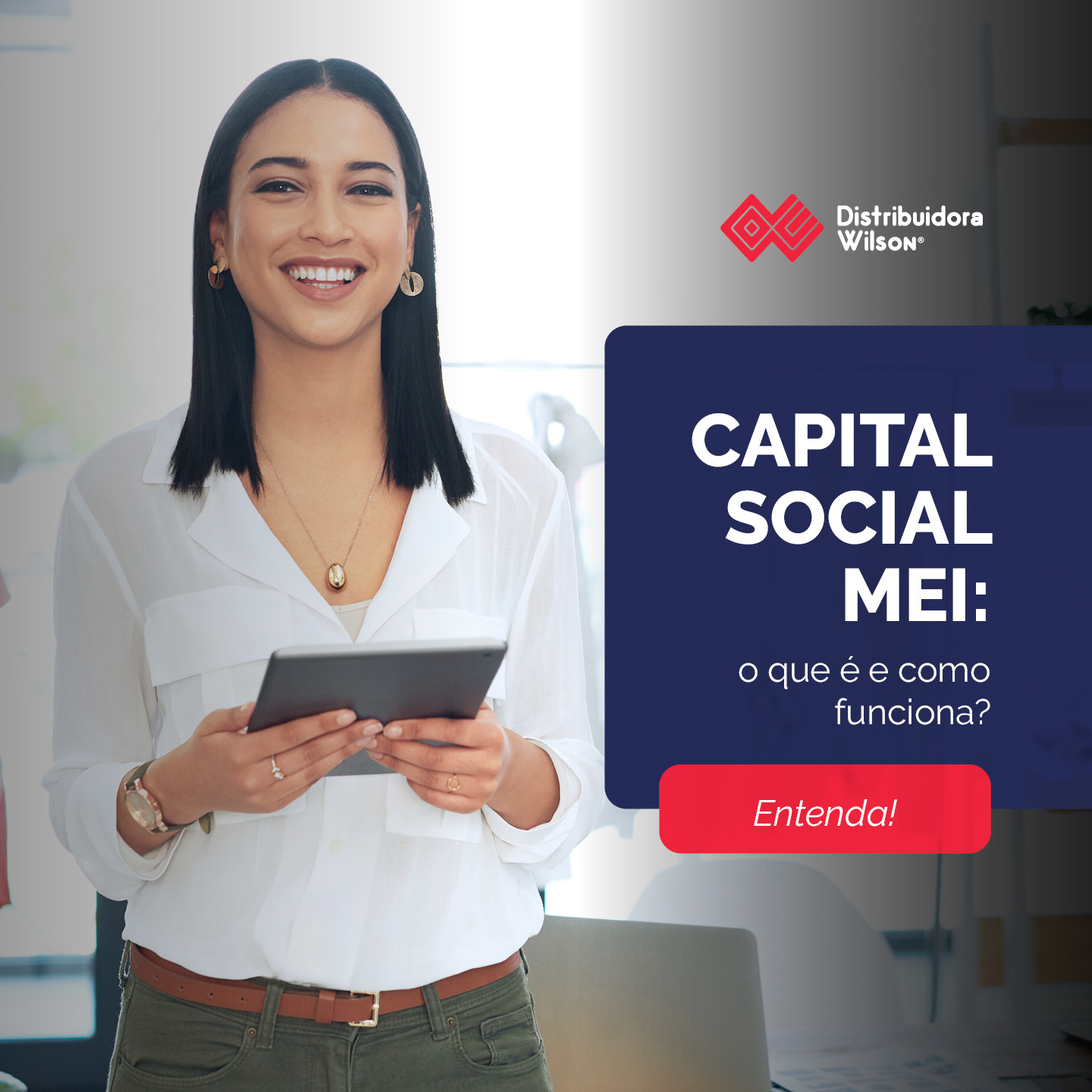 O Que é Exatamente Capital Social para o MEI? - inspiração 2