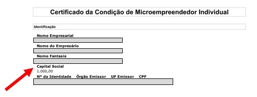 Como Definir o Valor Correto do Seu Capital Social? - inspiração 1