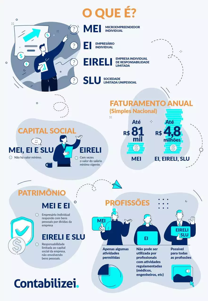O Que Acontece se o Capital Social For Declarado Incorretamente? - inspiração 1