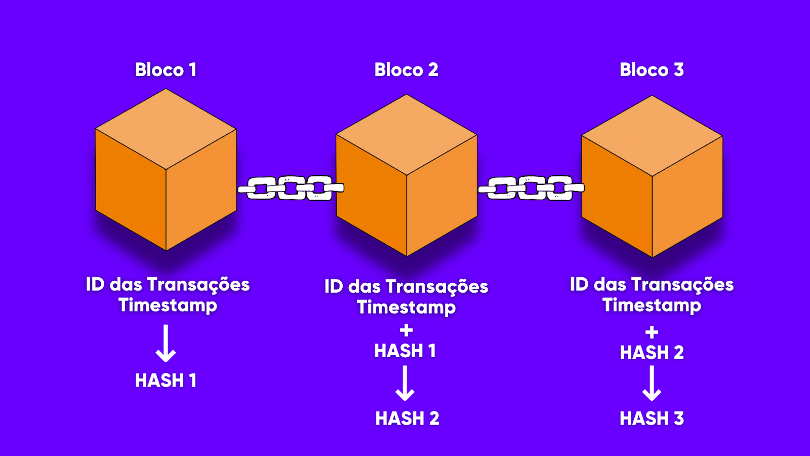 Segurança de Dados e Privacidade: Protegendo Suas Informações Pessoais - inspiração 2