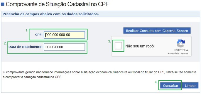 Passo 2: Consultando Dívidas e Score de Crédito (Seu Nome, Seu Valor)