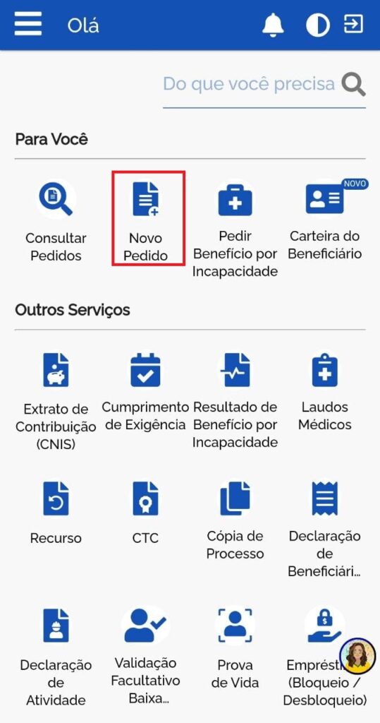 Preenchendo o Formulário de Solicitação: Atenção aos Detalhes - inspiração 2