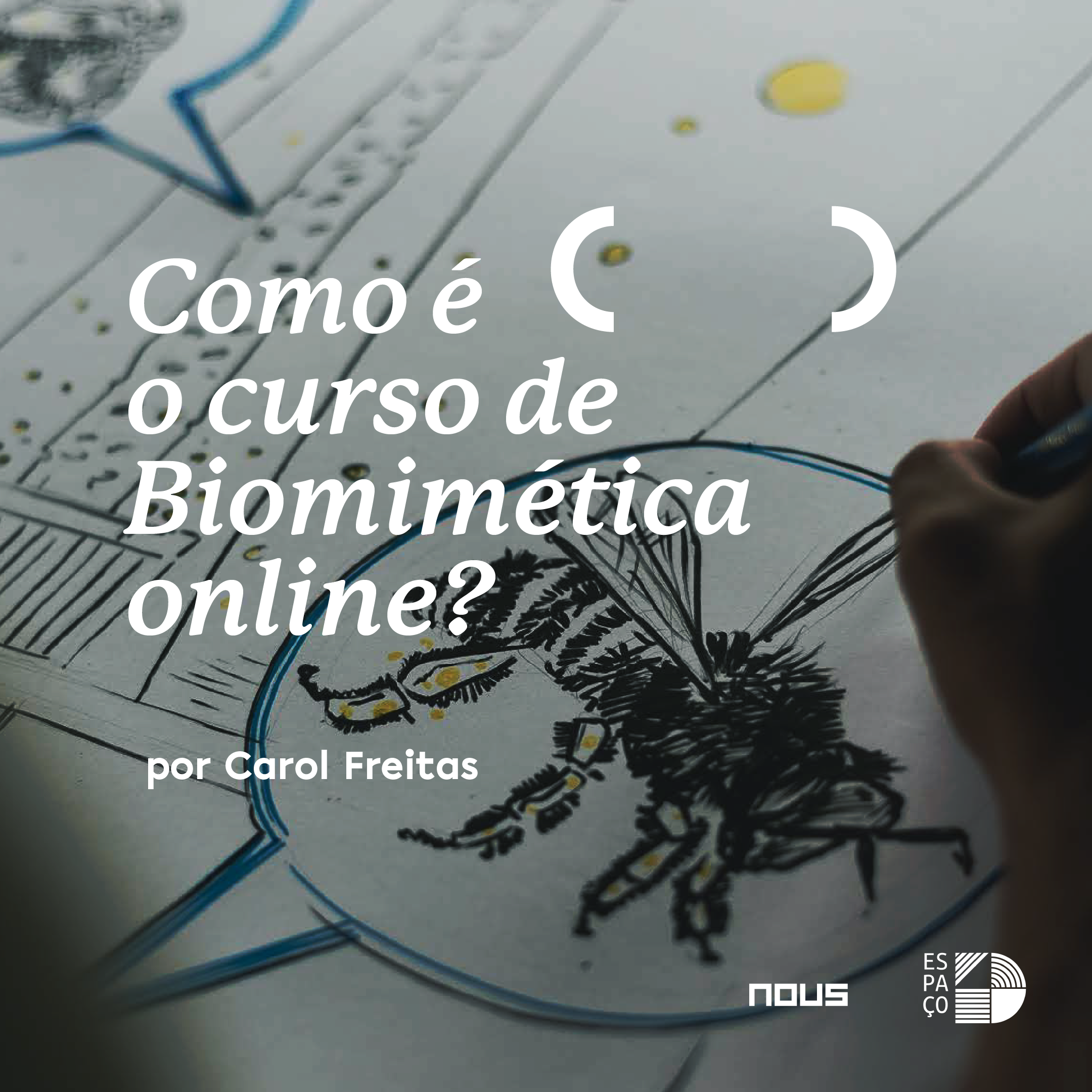 Cultivando uma Mentalidade de Aprendizado Contínuo com a Natureza - inspiração 2