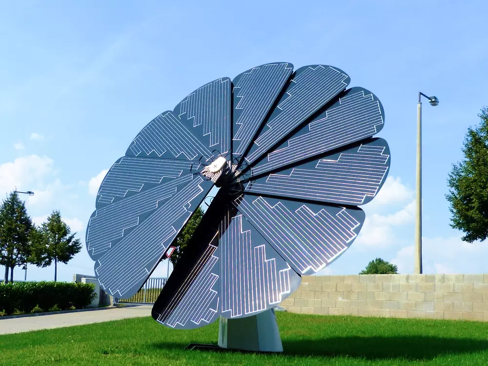 Inspiração em Materiais e Estruturas Naturais - inspiração 1