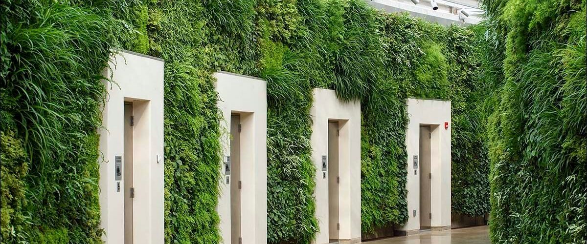 Desenvolvendo Projetos Sustentáveis com Lições da Biosfera - inspiração 1