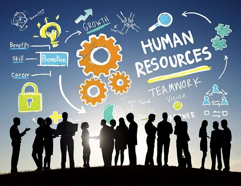 Aprendendo com os Outros: Como Absorver ao Máximo das Experiências Alheias - inspiração 1