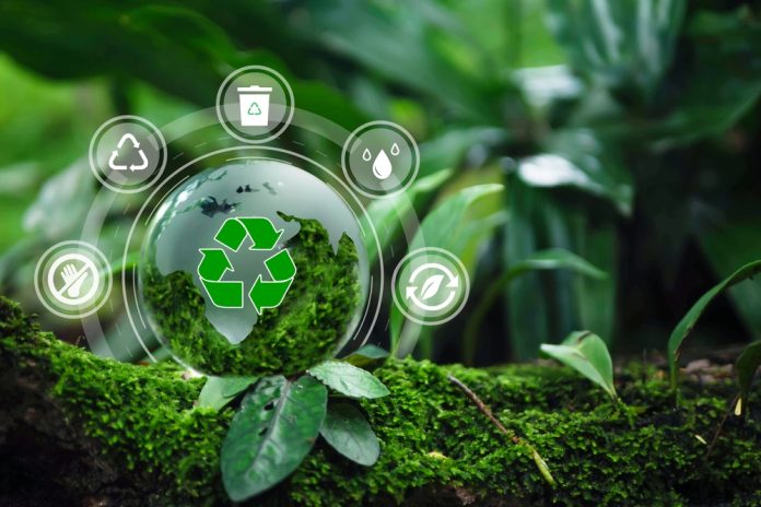 Apoie Marcas Éticas e Sustentáveis: Faça a Diferença com Sua Compra - inspiração 2