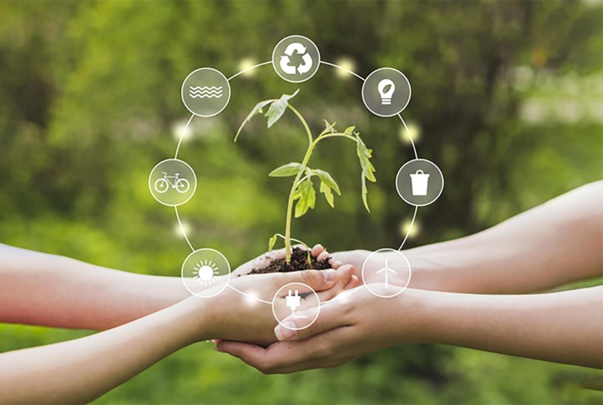 Reduza o Desperdício Alimentar: Dicas Simples para Economizar - inspiração 1