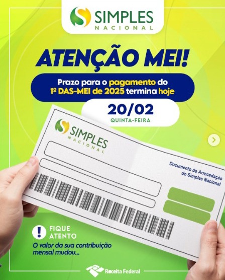 Exclusões e Restrições: O Que Evitar para Manter sua MEI Regular - inspiração 1