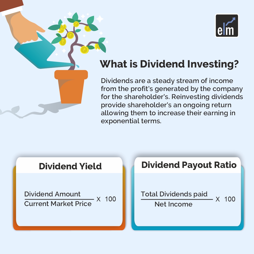 Diversificação: Não Coloque Todos os Ovos na Mesma Cesta - inspiração 1