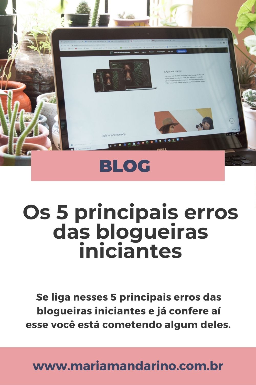 Ignorar a Definição Clara do Nicho: Por Que Isso Empaca Seu Crescimento? - inspiração 2