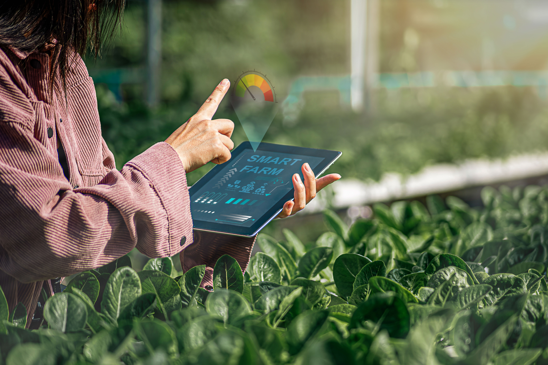 Plant-Based: Revolução Verde Que Conquista Cada Vez Mais Espaço - inspiração 2