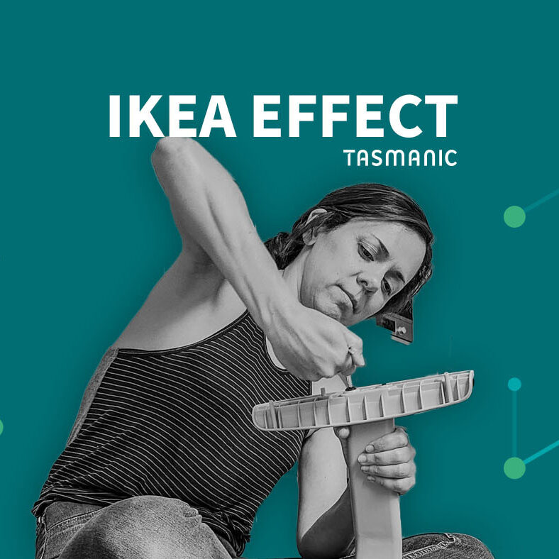 A IKEA: Mestra na Inovação com o Esforço do Cliente