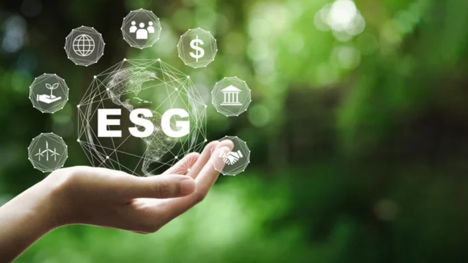 Entendendo os Pilares do ESG: Social, Ambiental e Governança - inspiração 1