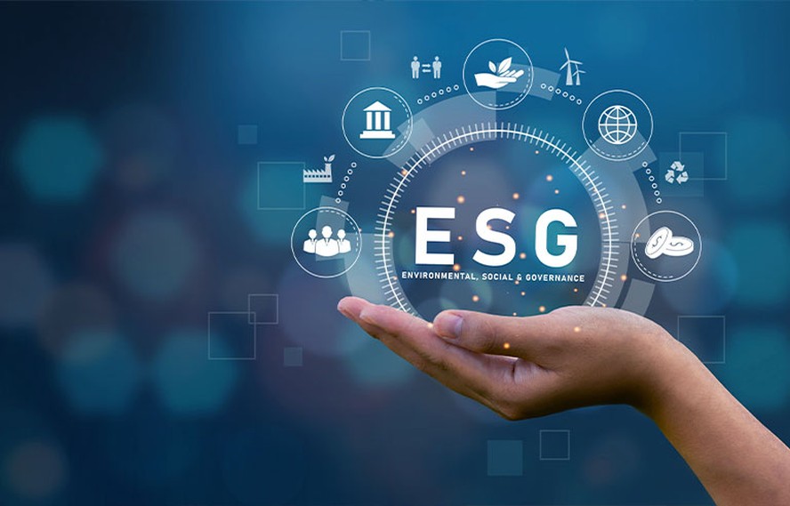 Por que o ESG é Crucial para a Longevidade da Sua Empresa - inspiração 1