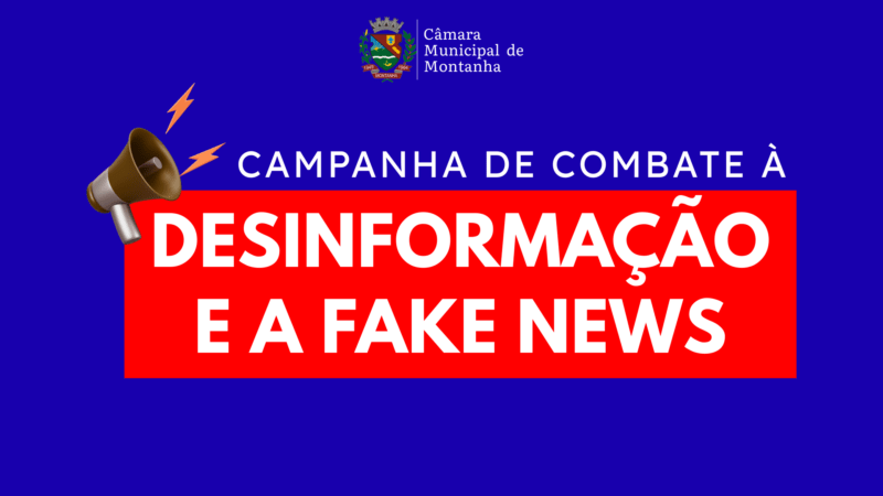 Use Ferramentas de Checagem: Seus Aliados Digitais Contra as Mentiras - inspiração 2