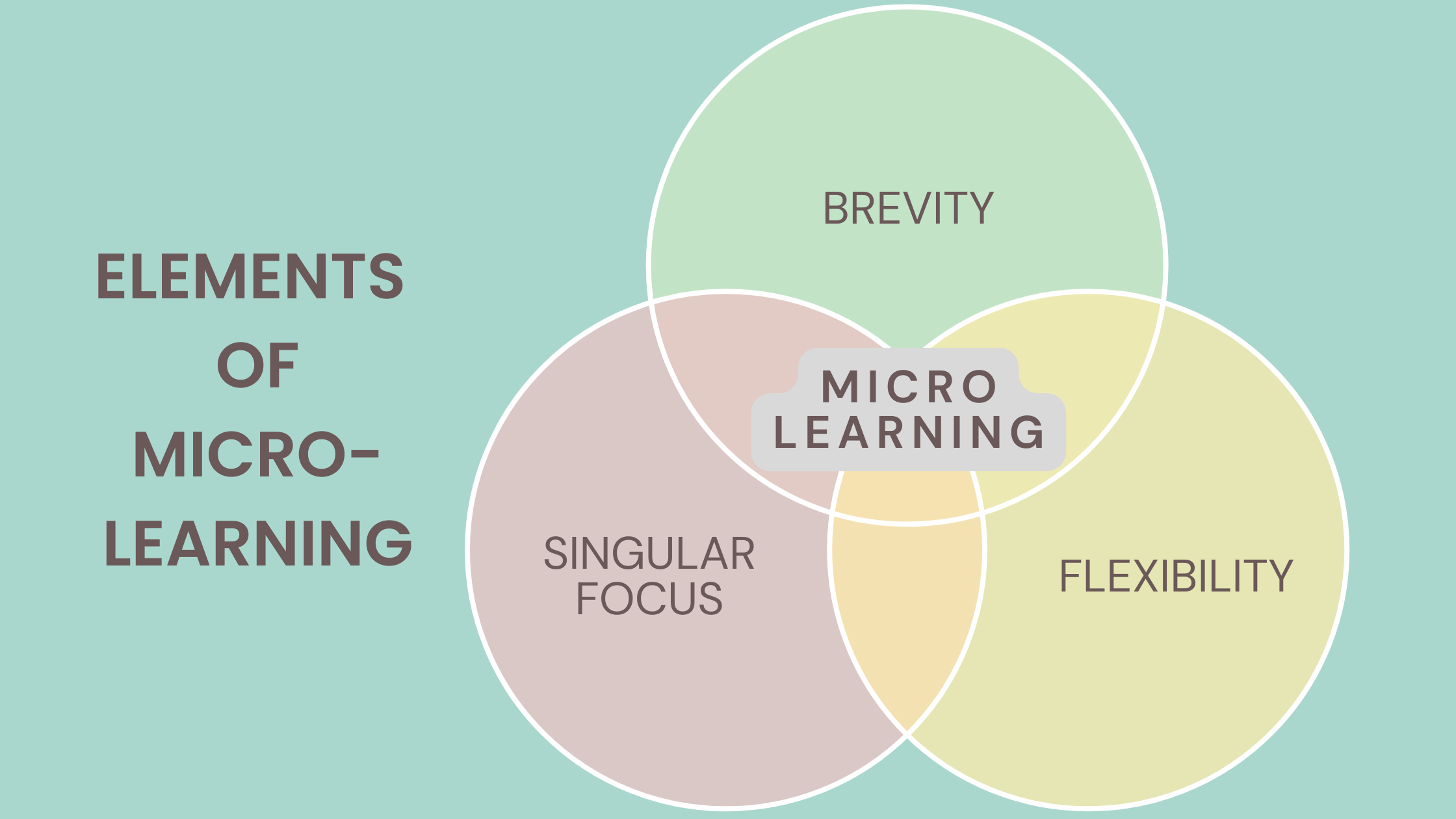 Microlearning: Pílulas de Conhecimento que Cabem na Sua Rotina - inspiração 1