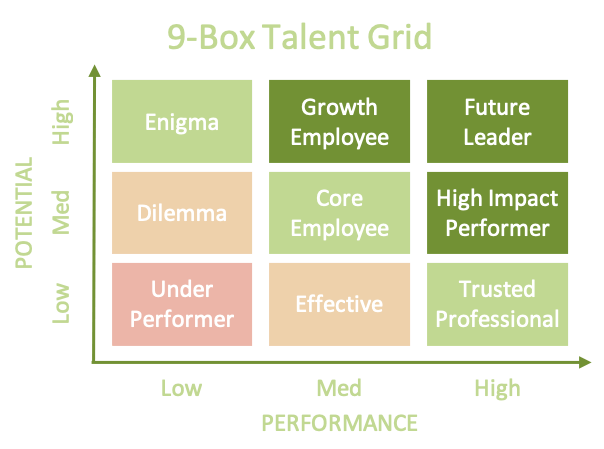 Os Quadrantes Essenciais: Performance Alta e Potencial Baixo - inspiração 2