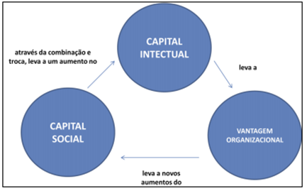 Como calcular o capital social corretamente? - inspiração 2