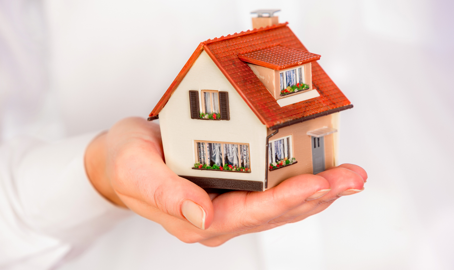 Entendendo a Essência do House Sitting - inspiração 2