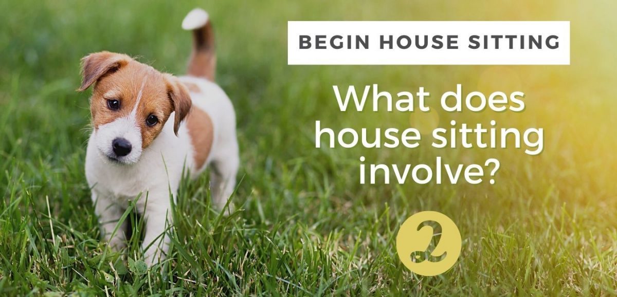 Quem São os Proprietários que Usam House Sitters? - inspiração 1