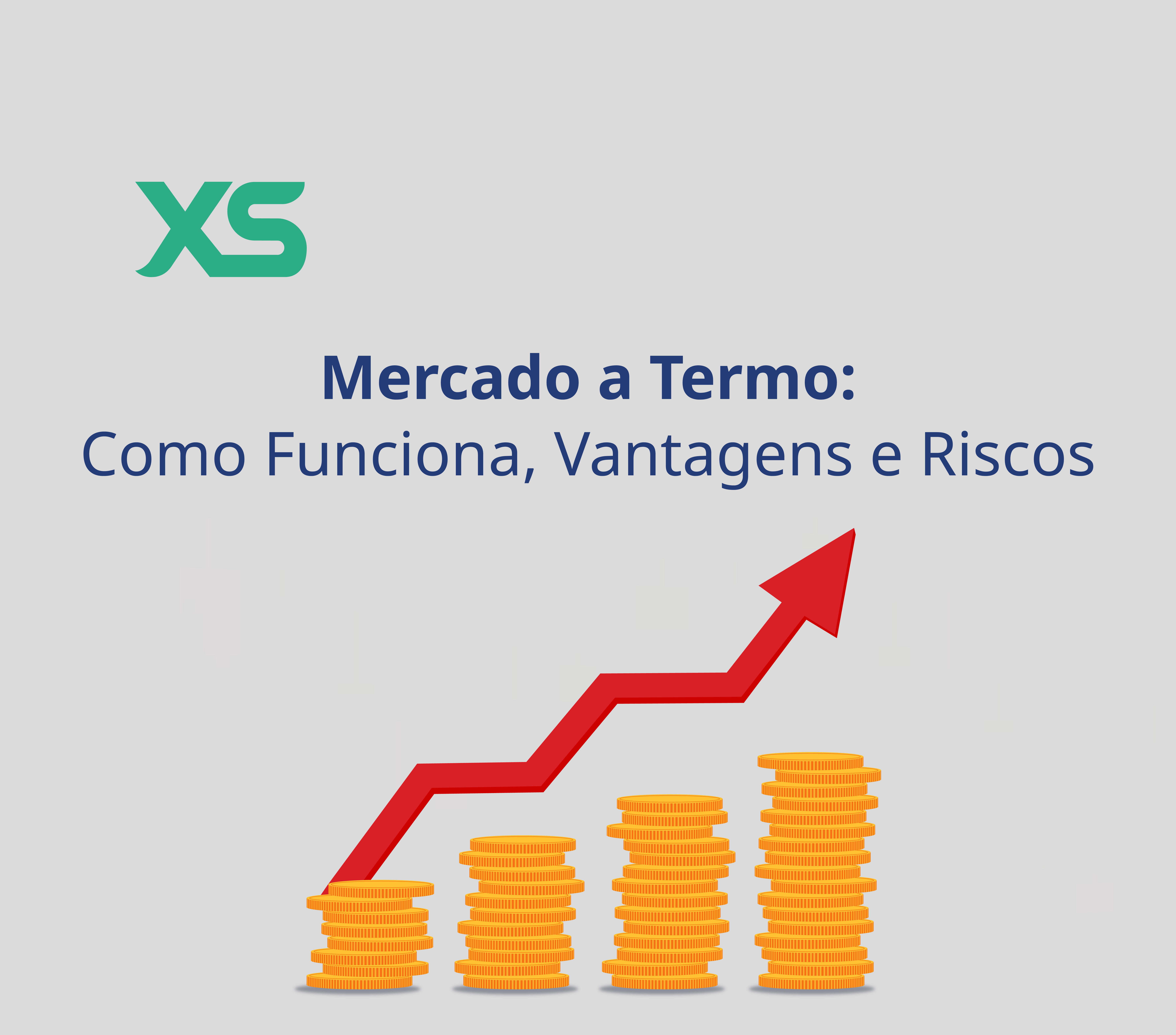 Custos Envolvidos no Mercado a Termo - inspiração 1