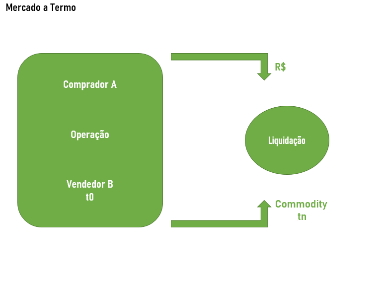 Diferenças Cruciais: Mercado a Termo vs. Mercado à Vista - inspiração 1