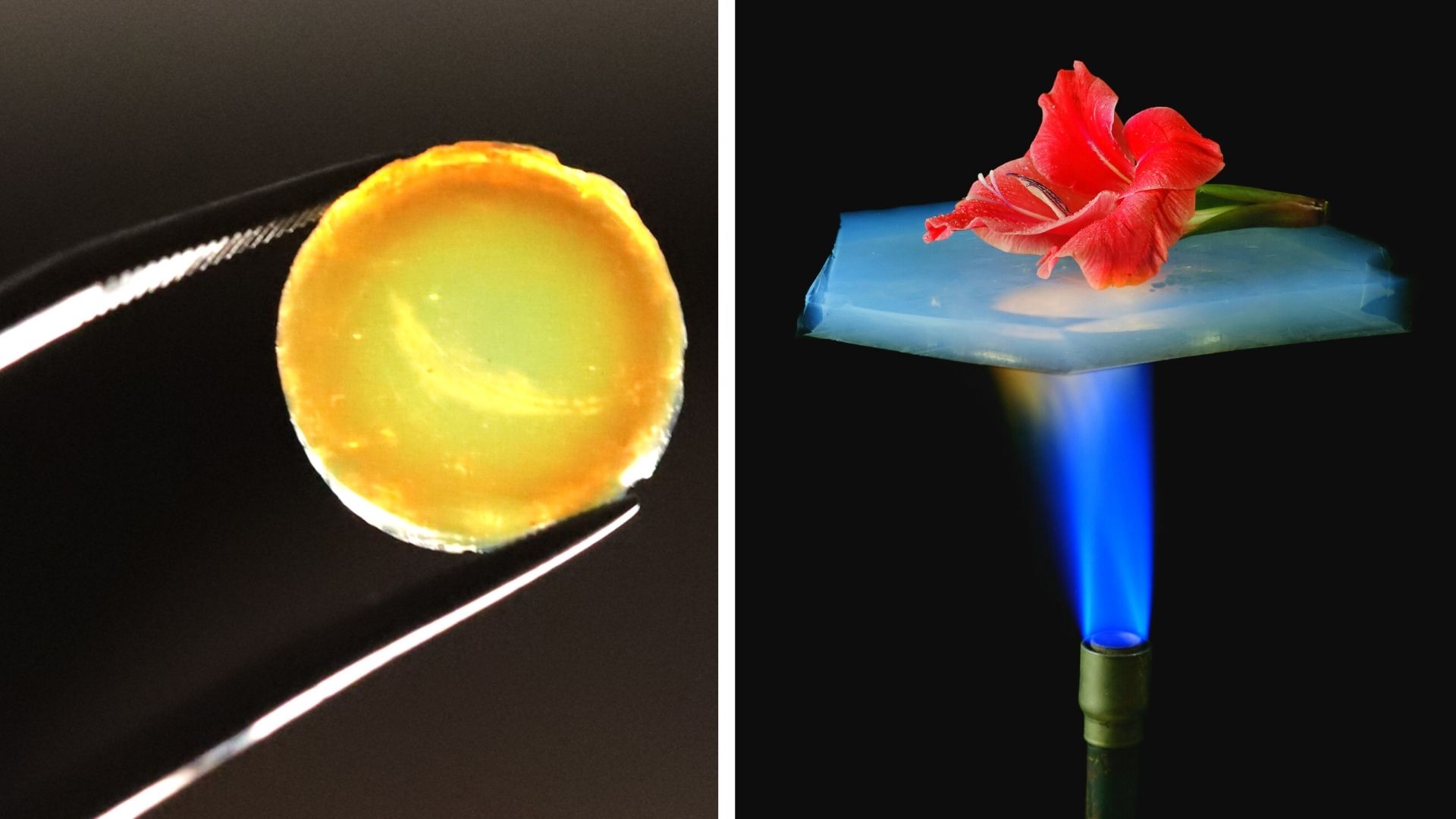 1. O Futuro do Isolamento: Como o Aerogel Está Revolucionando a Indústria
2. Aerogel vs. Materiais Tradicionais: Uma Comparação Detalhada de Desempenho
3. Inovações em Vestuário: As Melhores Jaquetas e Luvas com Tecnologia Aerogel
4. Aplicações Industriais do Aerogel: Da Aeroespacial à Construção Civil
5. Aerogel para o Meio Ambiente: Soluções Sustentáveis para Absorção de Óleo e Filtração de Água