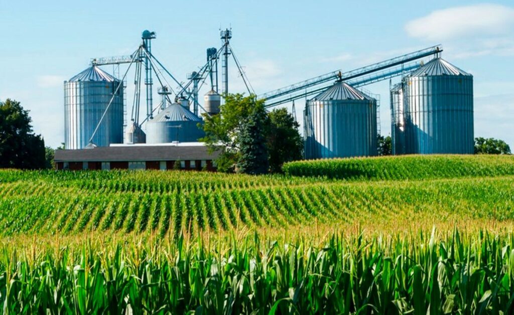 Importância da agroindústria no PIB