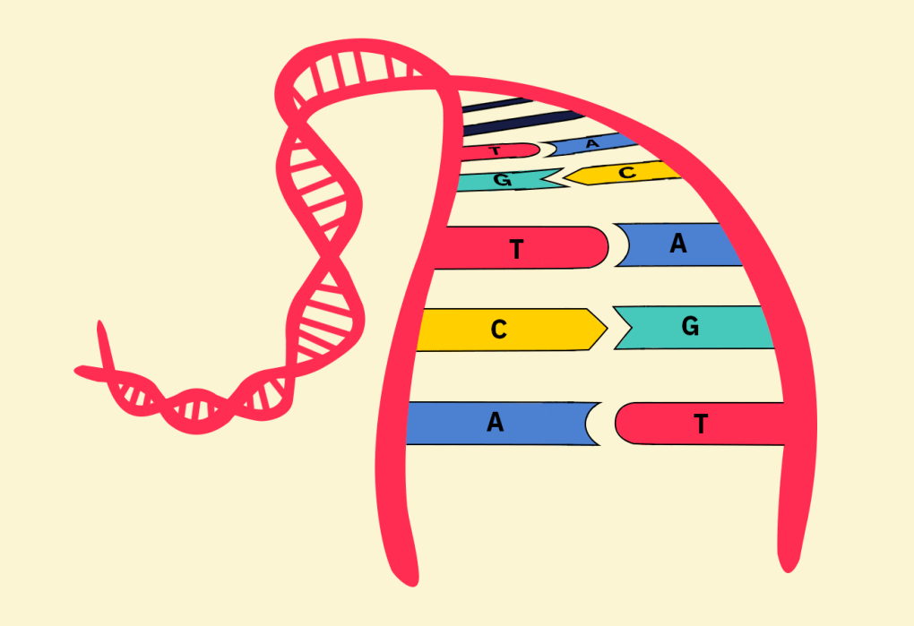 O Projeto Brasileiro de Armazenamento em DNA no IPT: Inovação na América Latina