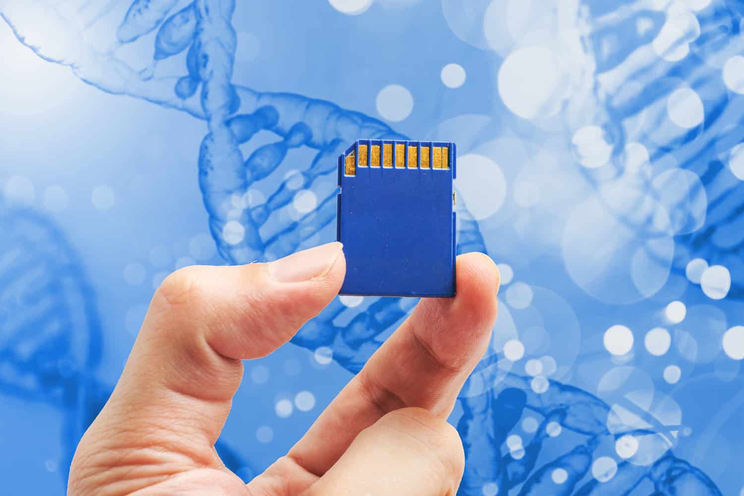 Armazenamento de Dados em DNA: Onde Estamos e Para Onde Vamos?
