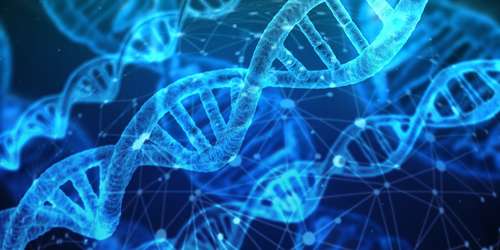 DNA vs. HD/SSD: Uma Análise Detalhada das Vantagens e Desvantagens
