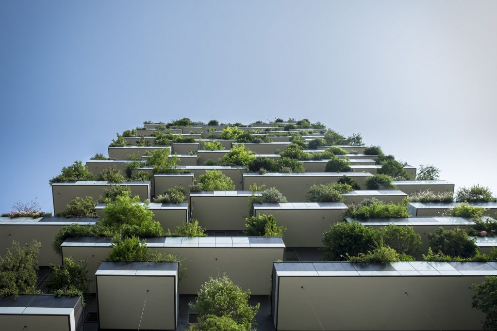 Como a Bioarquitetura Melhora sua Saúde e Bem-Estar