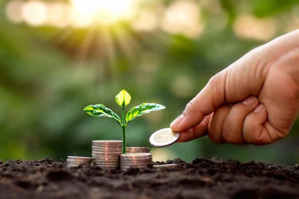 Como a Bioeconomia Transforma a Produção de Energia no Brasil