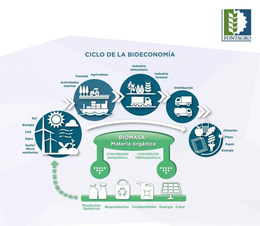 Estratégia Nacional de Bioeconomia: O Caminho para um Futuro Sustentável