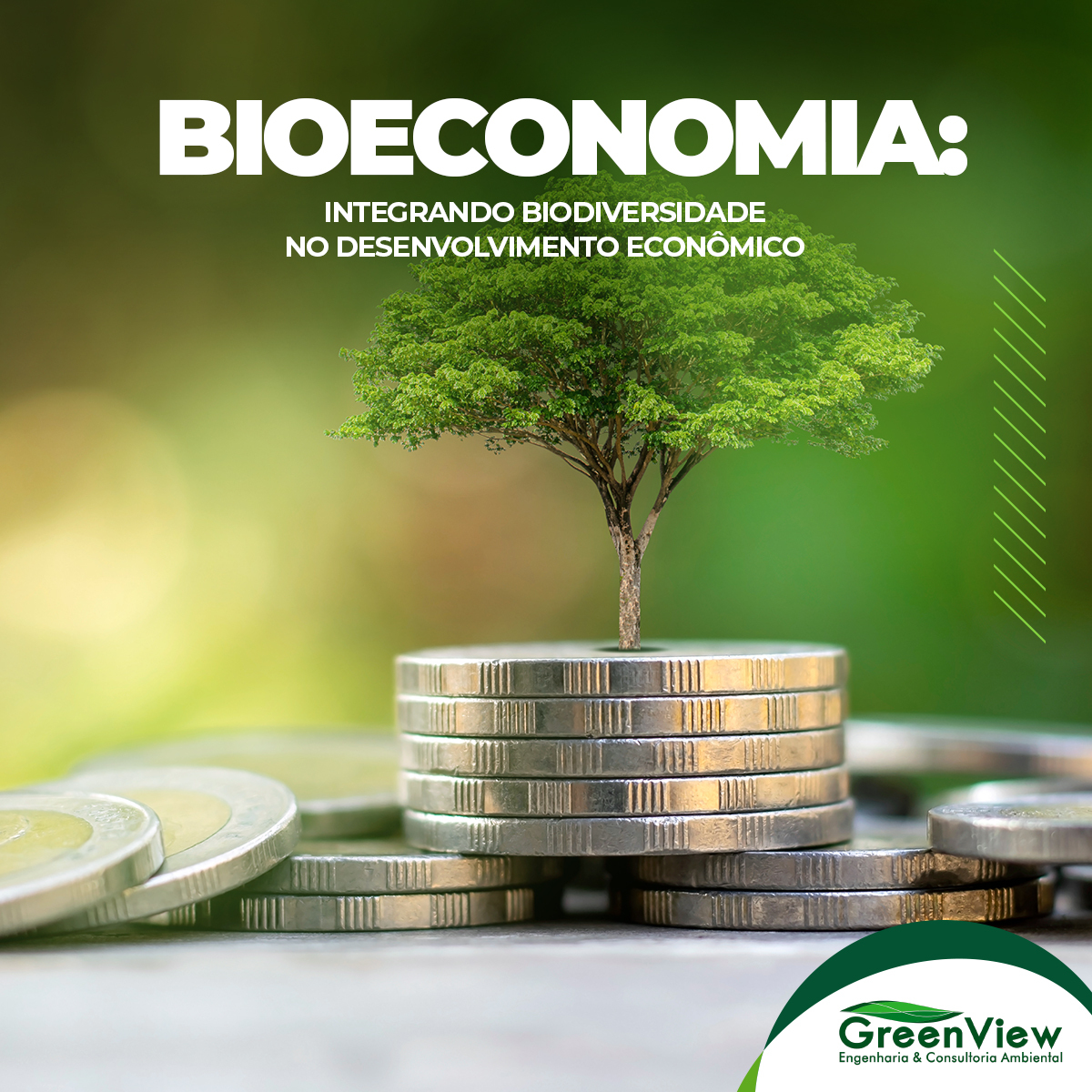 Química Verde: Inovações e Aplicações na Bioeconomia