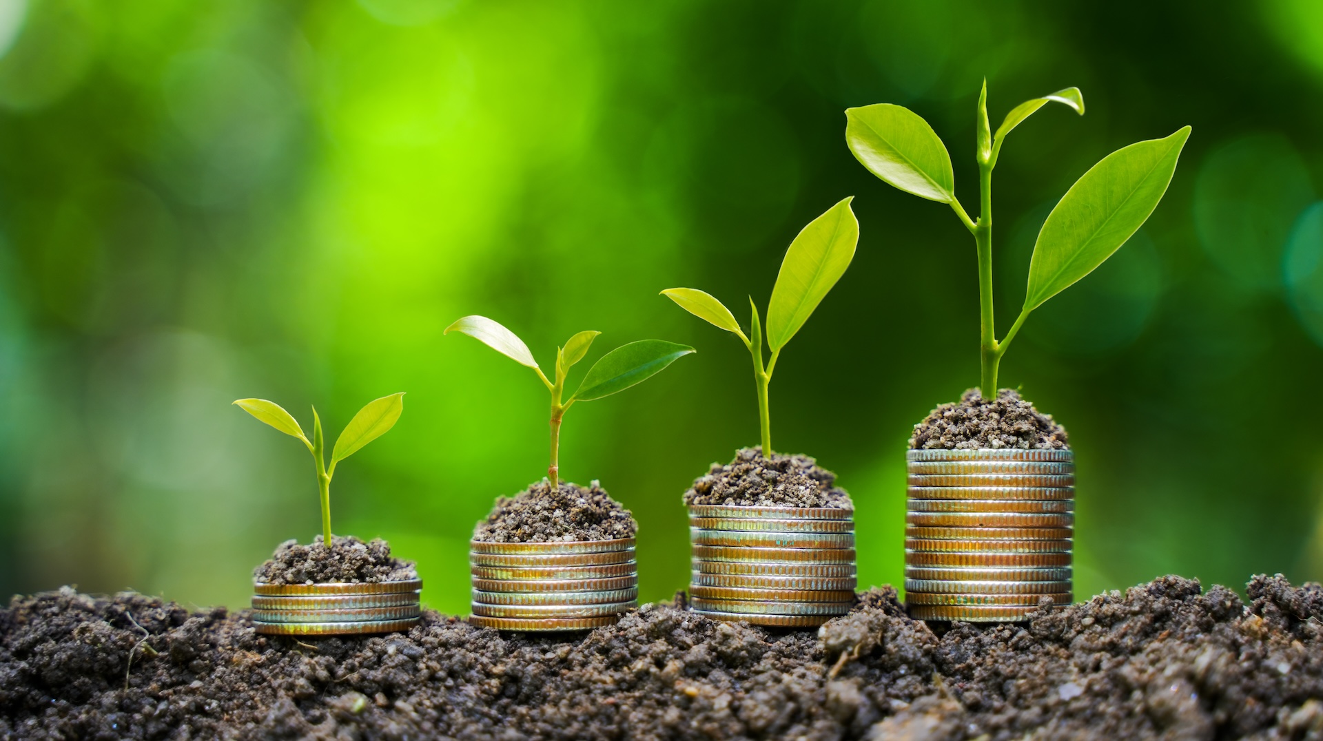 Como a Bioeconomia Transforma a Produção de Energia no Brasil