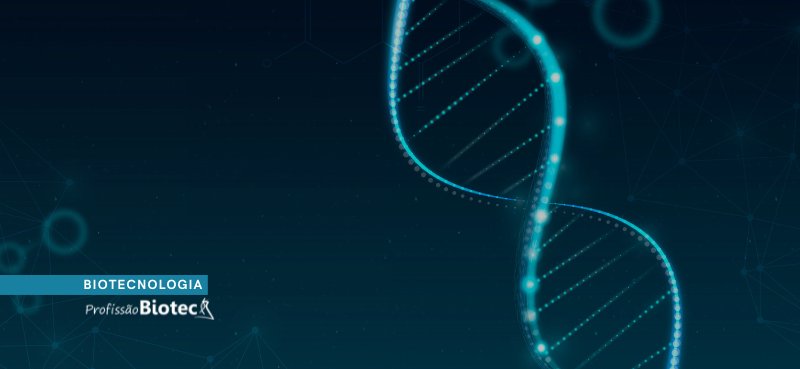 Universidades e Pós-Graduação em Bioinformática: Onde Estudar no Brasil