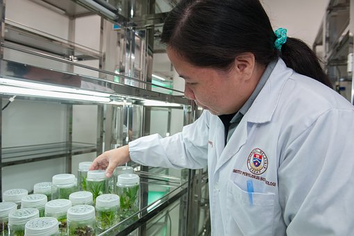 Biotecnologia Branca: O Motor da Indústria Sustentável