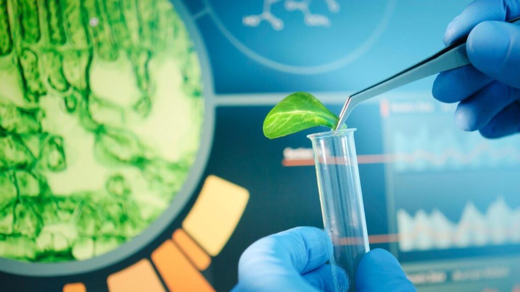Bioplásticos e o Fim do Lixo Plástico: Uma Perspectiva Biotecnológica