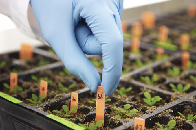 Guia Completo: Salários e Áreas de Atuação para Biotecnologistas no Brasil