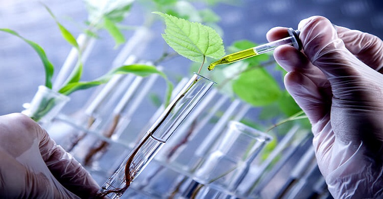 Além do Etanol: Como a Biotecnologia Impulsiona Novos Biocombustíveis