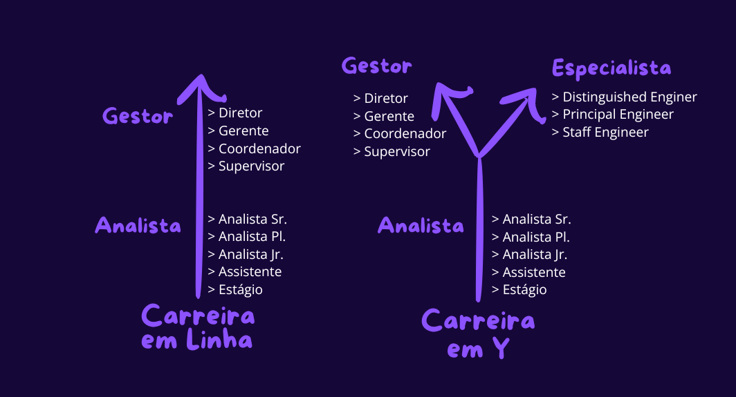 Carreira em Y: O Caminho para o Especialista Técnico