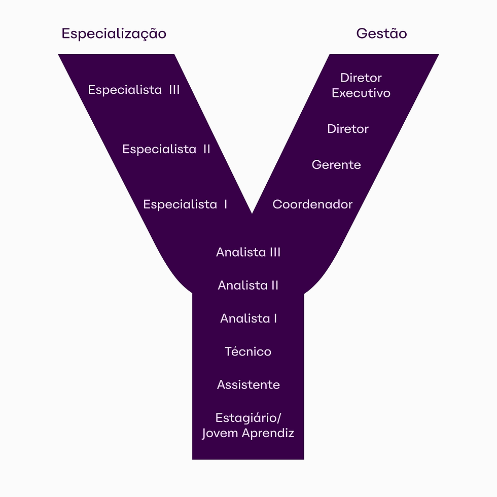 o que é carreira em Y
