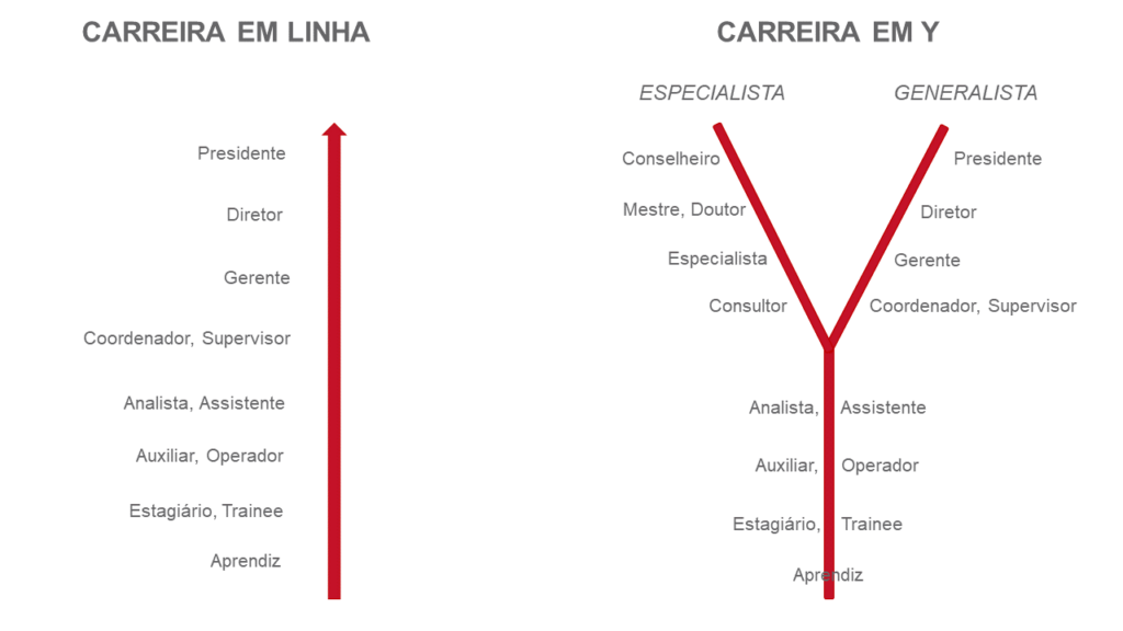modelo de carreira em Y