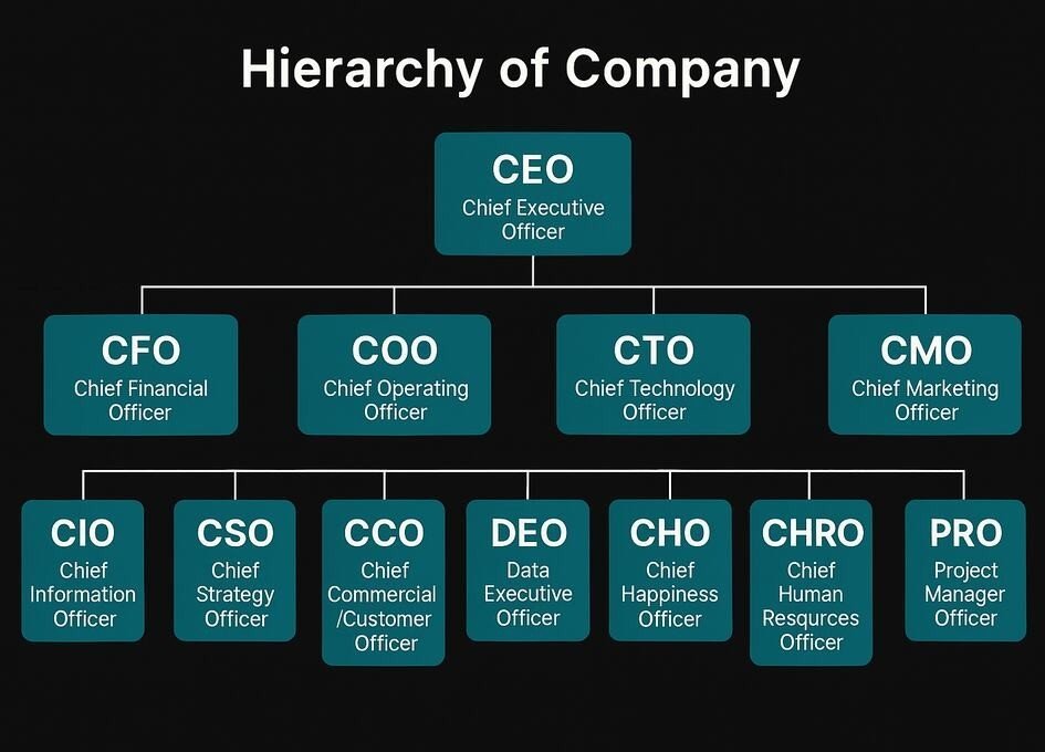 ceo cfo coo cto