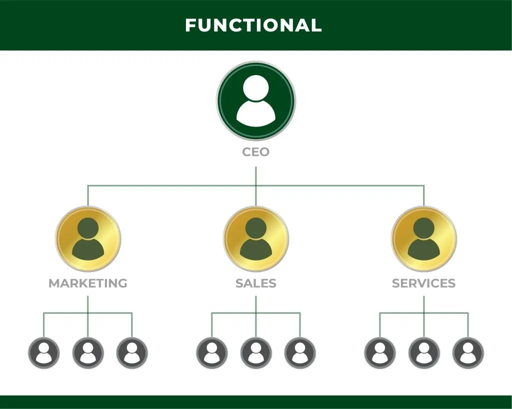 erros comuns ao definir funções c level