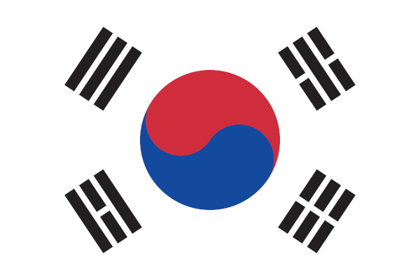 Desafios Sociais da Coreia do Sul: O Preço do Sucesso