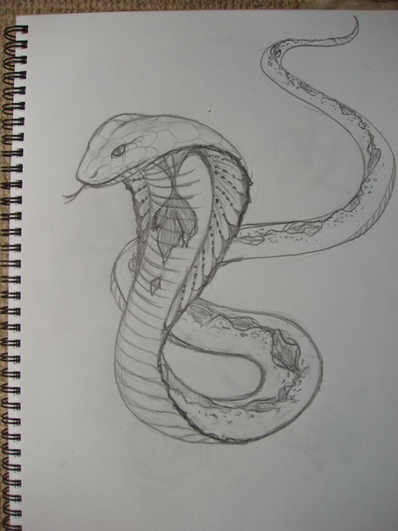 como desenhar uma cobra